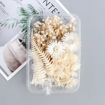 1 Kutu Beyaz Kurutulmuş Çiçekler DIY Aromaterapi Mum Yapımı Epoksi Reçine Kalıp Takı Aksesuarları Düğün Buket Ev Dekorasyon